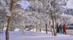 Какая погода ожидает казахстанцев 27-29 января